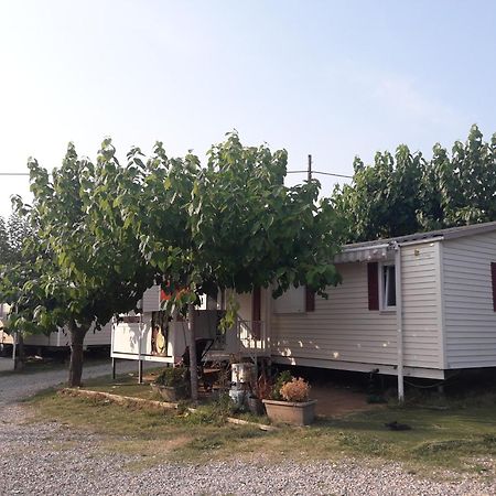 Camping Vila Village Sant Feliu de Buixalleu Екстериор снимка
