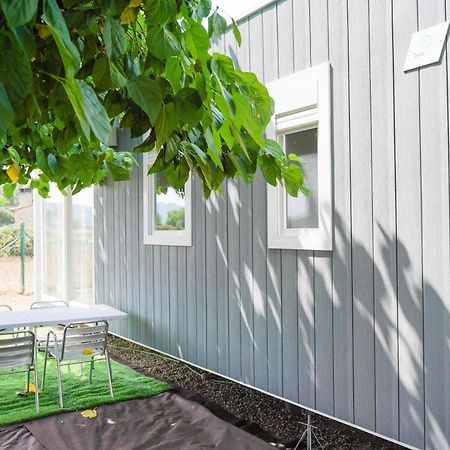 Camping Vila Village Sant Feliu de Buixalleu Екстериор снимка