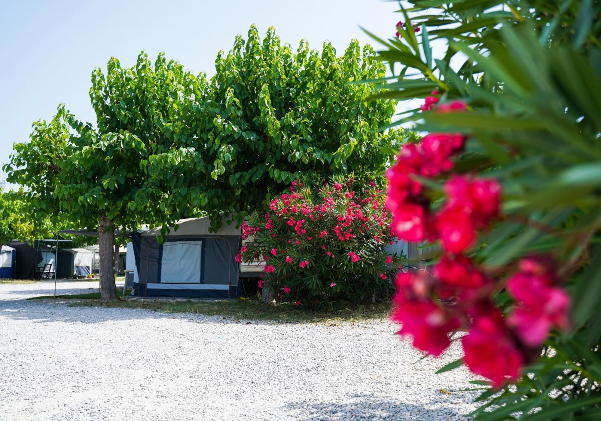 Camping Vila Village Sant Feliu de Buixalleu Екстериор снимка